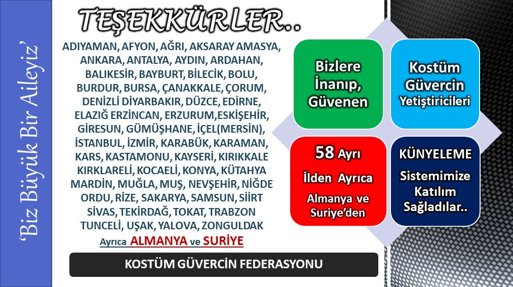 Teşekkürler..